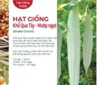 Hạt giống Khổ qua Tây - Mướp ngọt