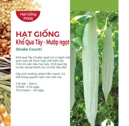 Hạt giống Khổ qua Tây - Mướp ngọt