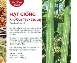 Hạt giống Khổ qua Tây - Lặc Lày