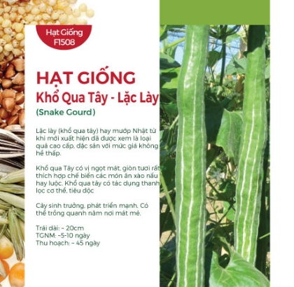 Hạt giống Khổ qua Tây - Lặc Lày
