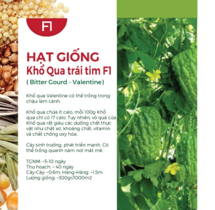 Hạt giống Khổ qua trái tim F1 Valentine