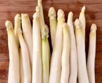 Hạt giống Măng tây trắng Gavrish