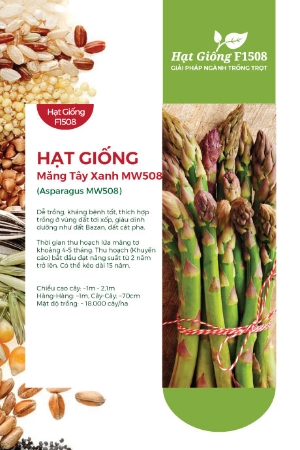 Hạt giống Măng tây xanh MW508