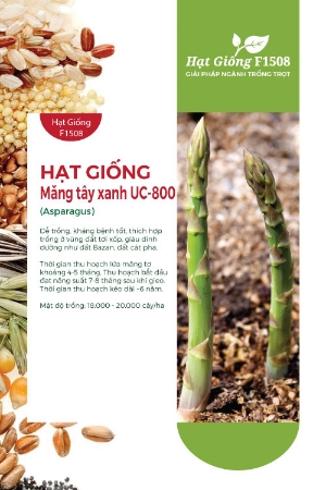 Hạt giống Măng tây xanh UC800