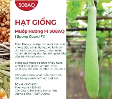 Hạt giống Mướp hương Nhật Bản F1
