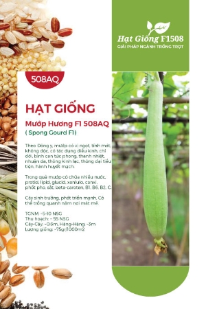 Hạt giống Mướp hương Nhật Bản F1