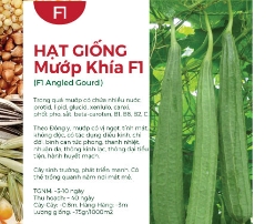 Hạt giống Mướp khía F1
