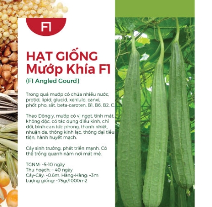 Hạt giống Mướp khía F1