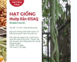 Hạt giống Mướp rắn 615AQ