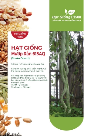 Hạt giống Mướp rắn 615AQ