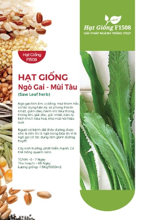 Hạt giống Ngò gai - Mùi tàu