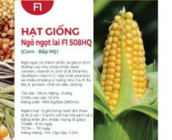Hạt giống Ngô ngọt lai F1 - Bắp Mỹ