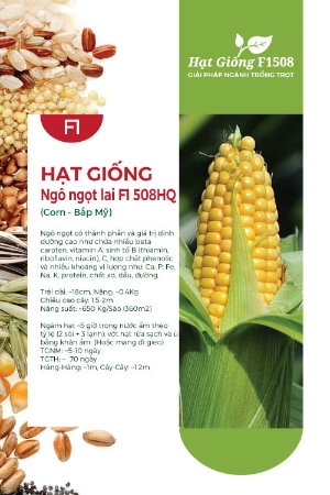 Hạt giống Ngô ngọt lai F1 - Bắp Mỹ