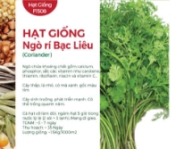 Hạt giống Ngò rí Bạc Liêu
