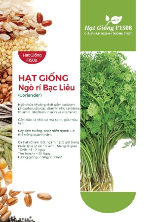 Hạt giống Ngò rí Bạc Liêu