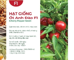 Hạt giống Ớt Anh Đào F1