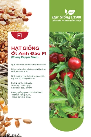 Hạt giống Ớt Anh Đào F1