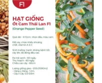Hạt giống Ớt cam Thái Lan F1