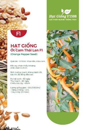 Hạt giống Ớt cam Thái Lan F1