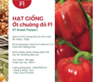 Hạt giống Ớt chuông đỏ F1 520AQ - Ớt chuông Đà Lạt