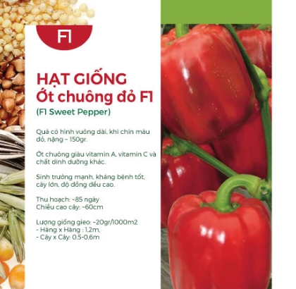 Hạt giống Ớt chuông đỏ F1 520AQ - Ớt chuông Đà Lạt