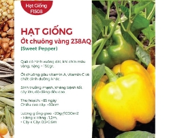 Hạt giống Ớt chuông vàng 238AQ