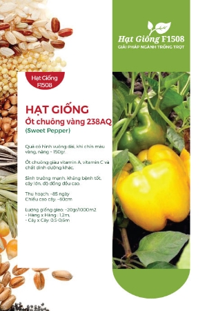 Hạt giống Ớt chuông vàng 238AQ