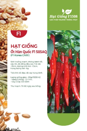Hạt giống Ớt Hàn Quốc F1 585AQ