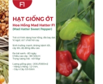 Hạt giống Ớt hoa hồng Mad Hatter F1