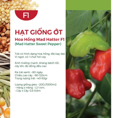 Hạt giống Ớt hoa hồng Mad Hatter F1