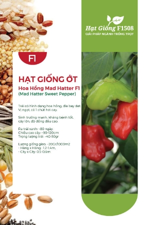 Hạt giống Ớt hoa hồng Mad Hatter F1