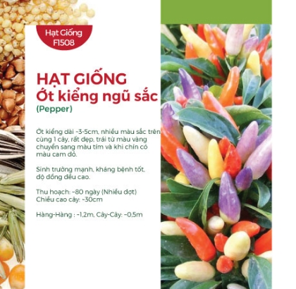 Hạt giống Ớt kiểng ngũ sắc
