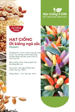 Hạt giống Ớt kiểng ngũ sắc