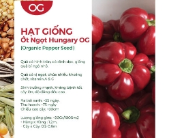 Hạt giống Ớt ngọt Hungary OG