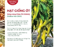 Hạt giống Ớt sừng vàng Châu Phi 508AQ