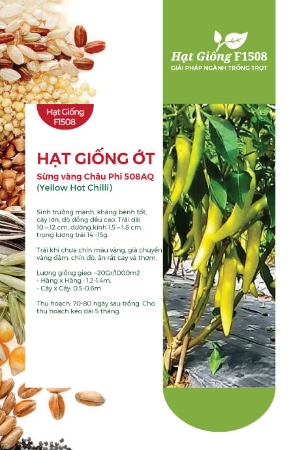 Hạt giống Ớt sừng vàng Châu Phi 508AQ