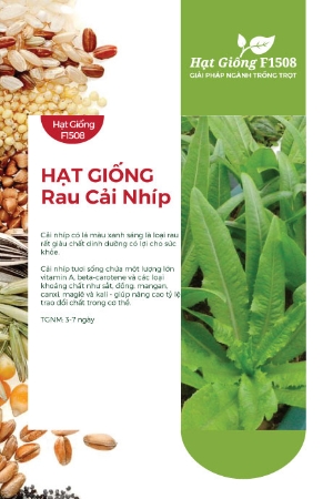 Hạt giống rau cải Nhíp