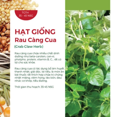 Hạt giống Rau càng cua