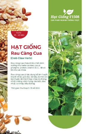 Hạt giống Rau càng cua