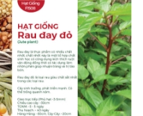 Hạt giống Rau đay đỏ