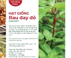 Hạt giống Rau đay đỏ