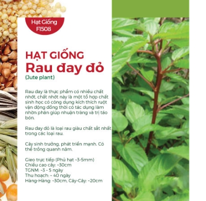 Hạt giống Rau đay đỏ