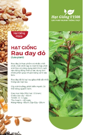Hạt giống Rau đay đỏ