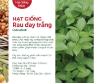 Hạt giống Rau đay trắng - Đay xanh