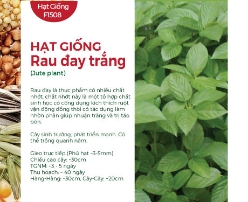 Hạt giống Rau đay trắng - Đay xanh