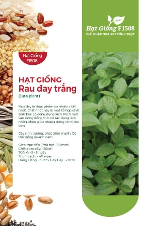 Hạt giống Rau đay trắng - Đay xanh