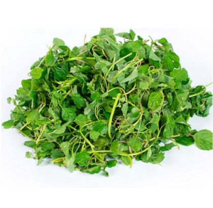 Hạt giống Rau dền cơm
