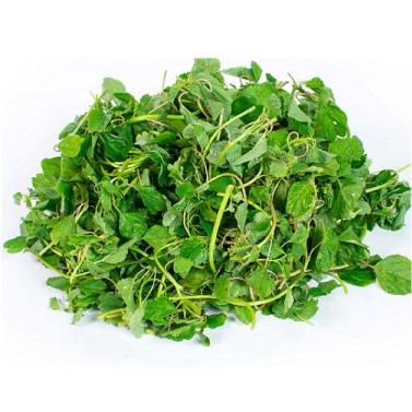Hạt giống Rau dền cơm