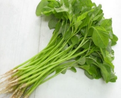 Hạt giống Rau dền xanh lá tròn