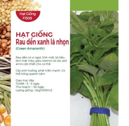 Hạt giống rau Dền xanh lá nhọn